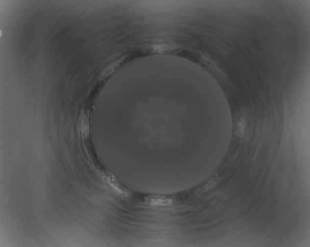 X0000080730471200701121915