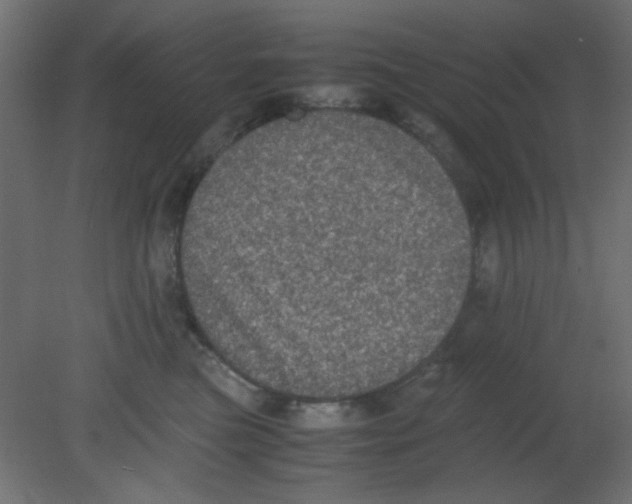 X0000080730473200701121915