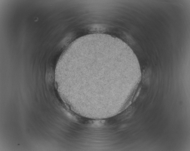 X0000080730474200701121915