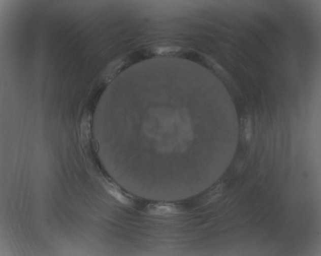 X0000080730475200701121915