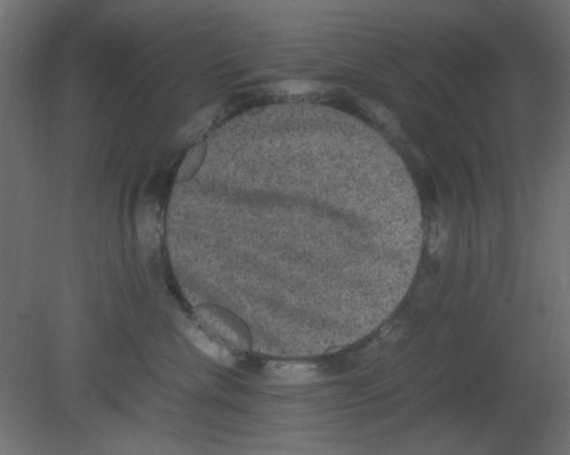 X0000080730476200701121915