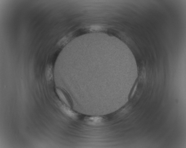 X0000080730478200701121915