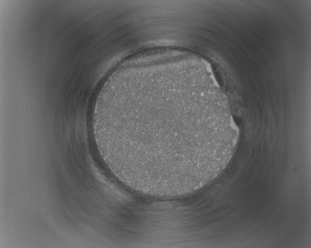 X0000080730482200701121914