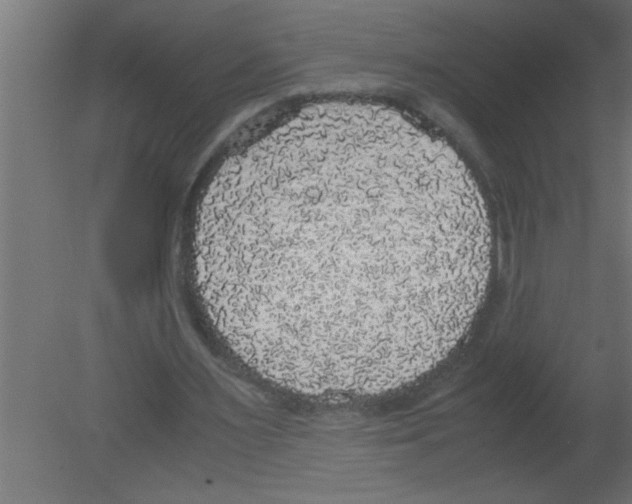 X0000080730483200701121914