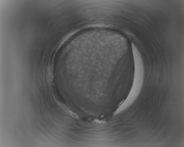 X0000080730484200701121914