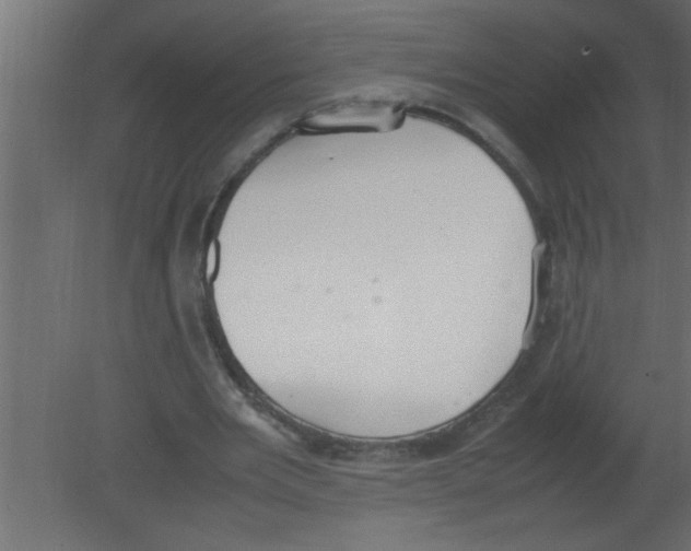 X0000080730485200701121914