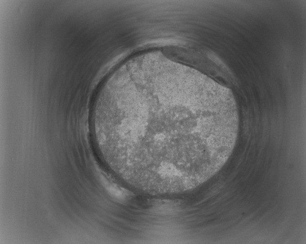 X0000080730486200701121914