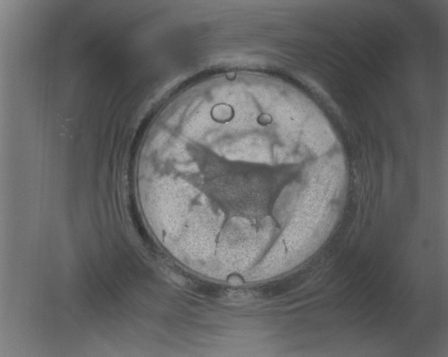 X0000080730487200701121914