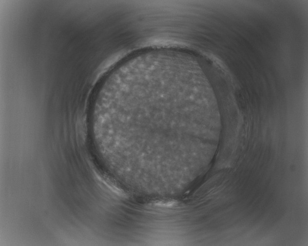 X0000080730488200701121914