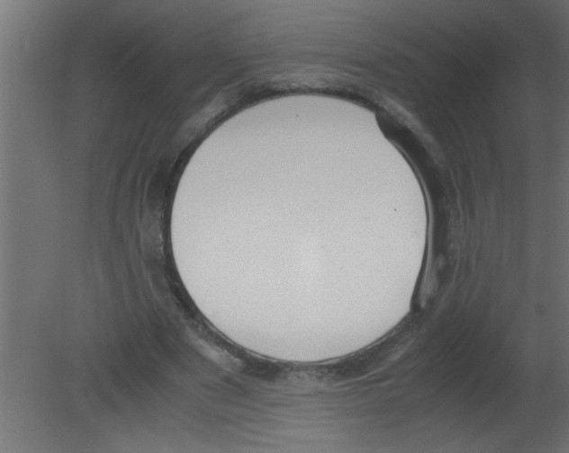 X0000080730489200701121914