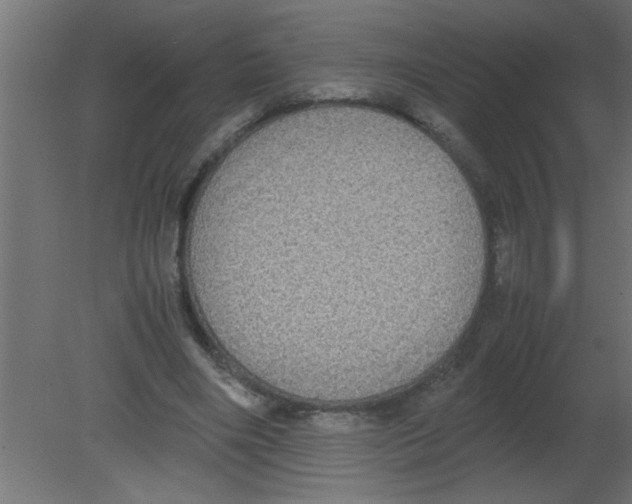 X0000080730490200701121914