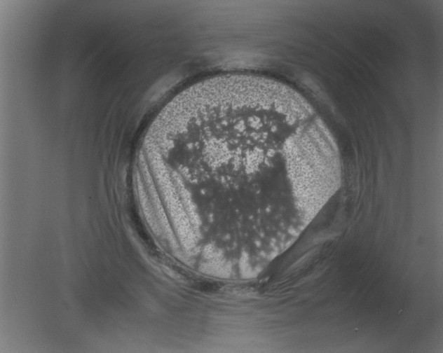 X0000080730491200701121914