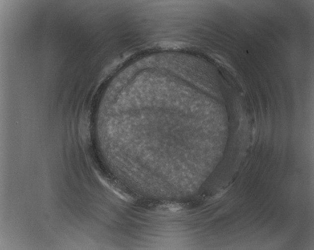 X0000080730492200701121914