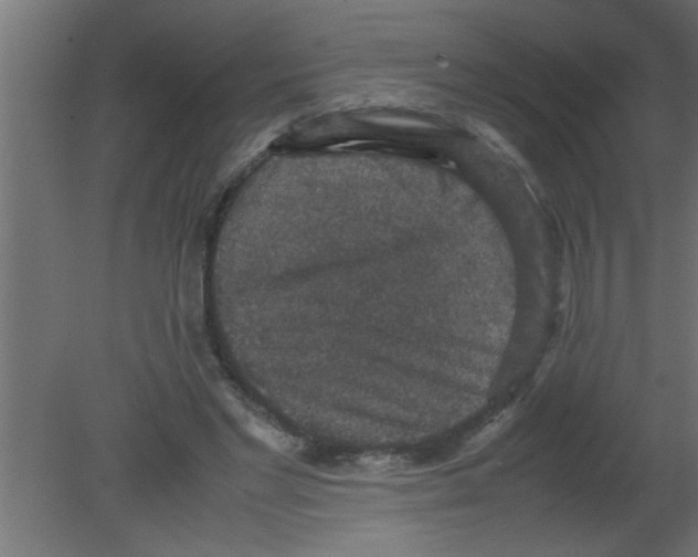 X0000080730493200701121914