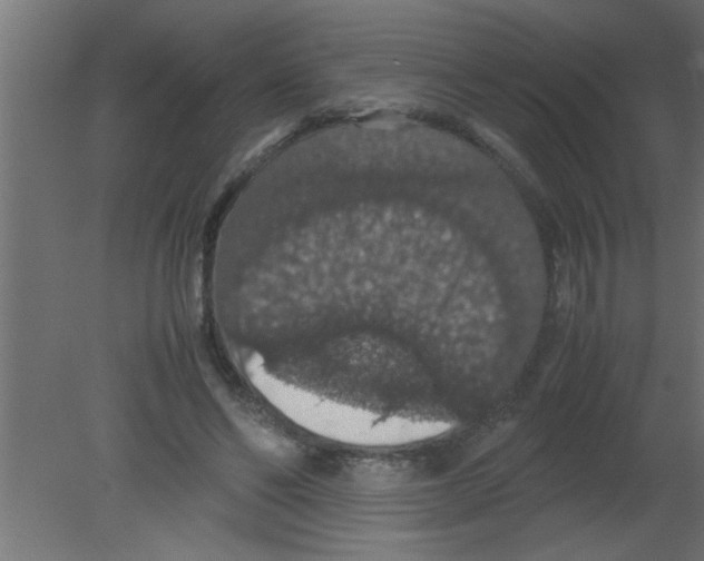 X0000080730494200701121914