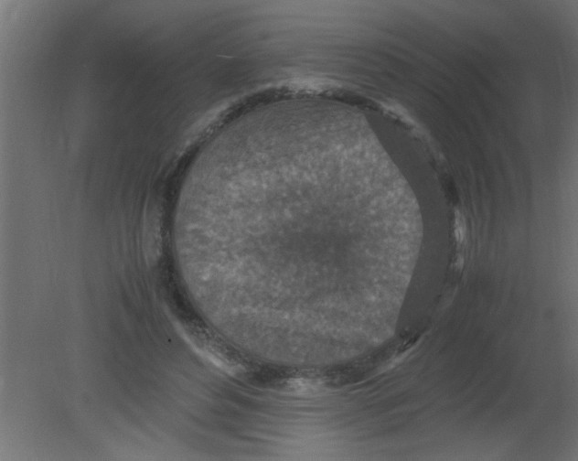 X0000080730496200701121914