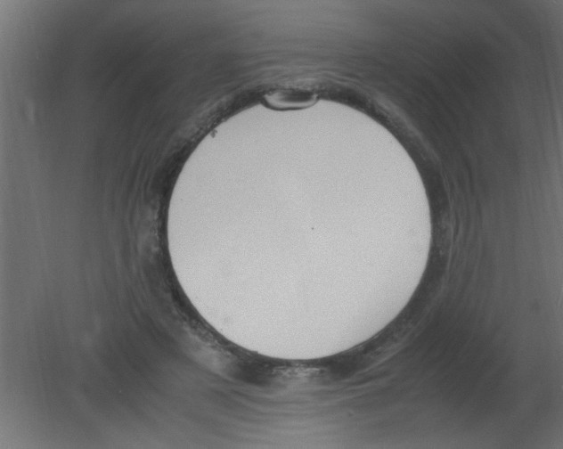 X0000080730497200701121914