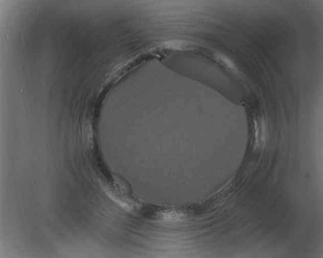 X0000080730500200701121914