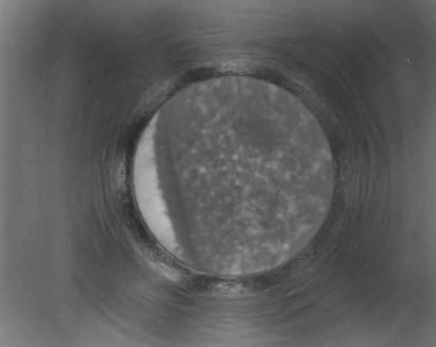 X0000080730502200701121914