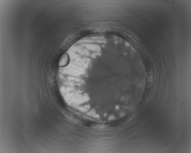 X0000080730503200701121914