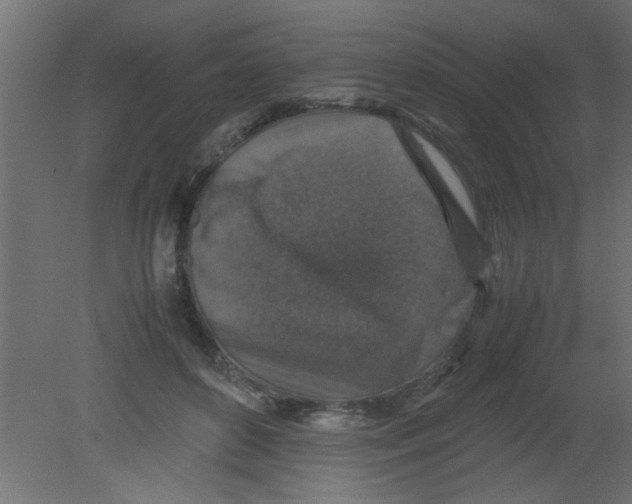 X0000080730504200701121914