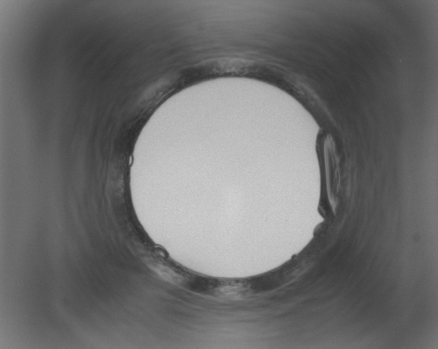 X0000080730505200701121914