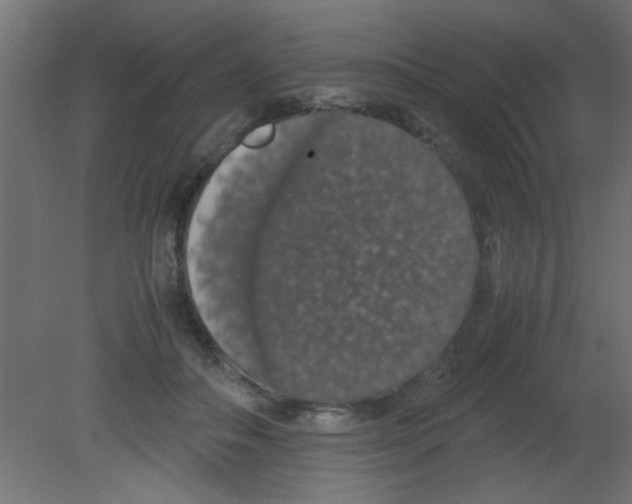 X0000080730506200701121914