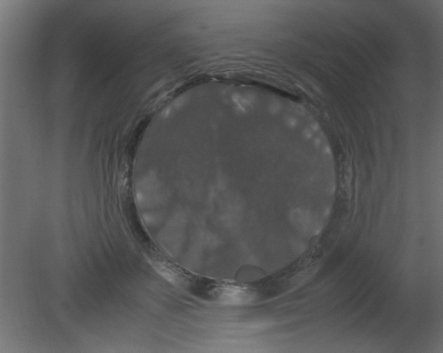 X0000080730507200701121914