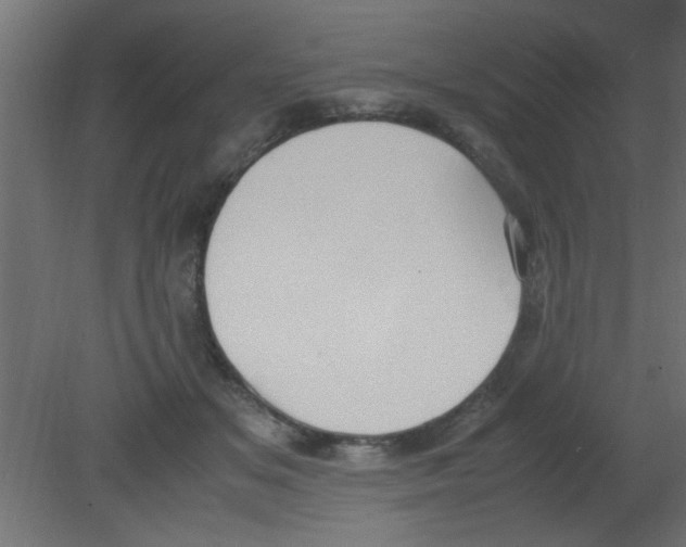 X0000080730509200701121914