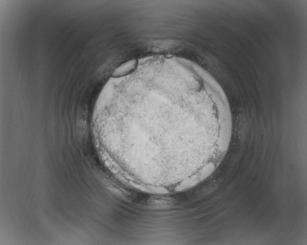 X0000080730510200701121914