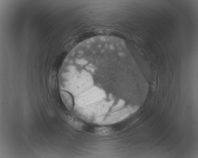 X0000080730511200701121914