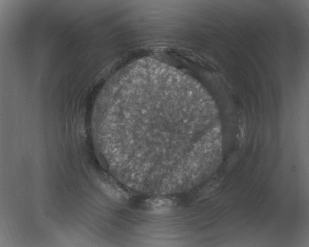 X0000080730512200701121914