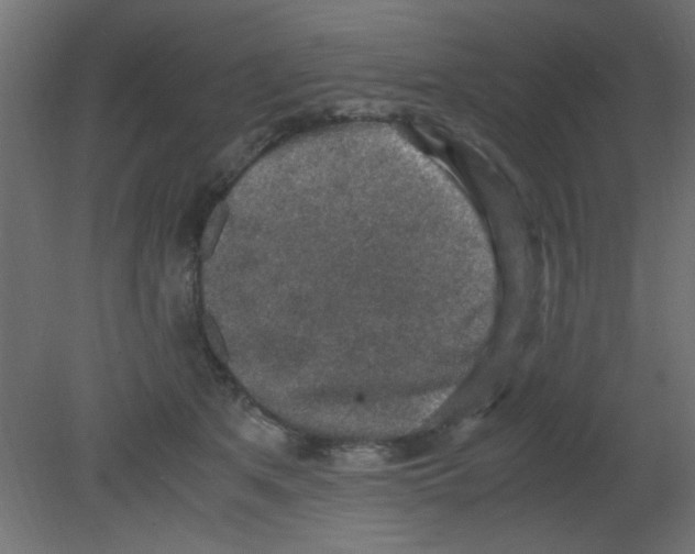 X0000080730513200701121914