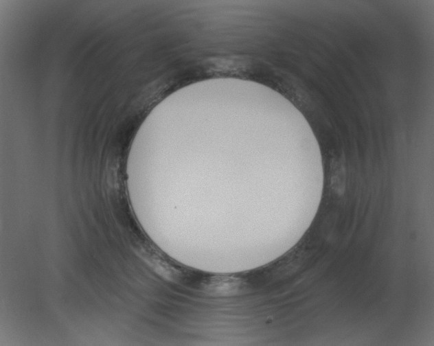 X0000080730514200701121914