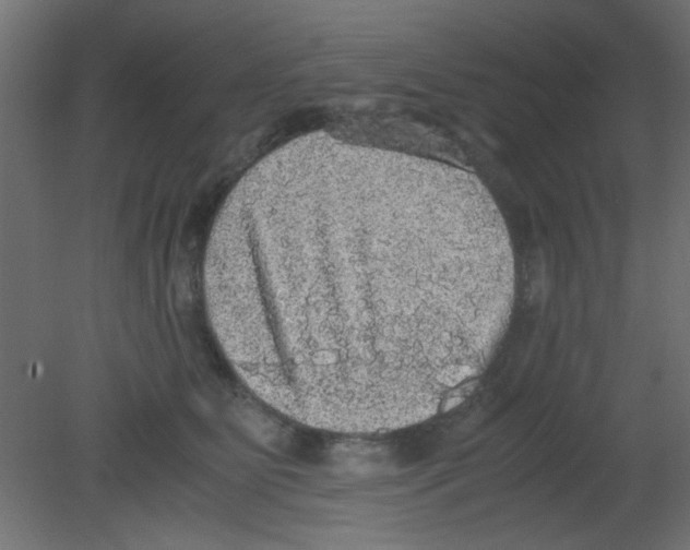 X0000080730515200701121914