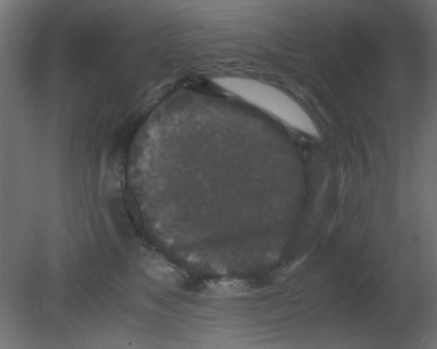 X0000080730517200701121914