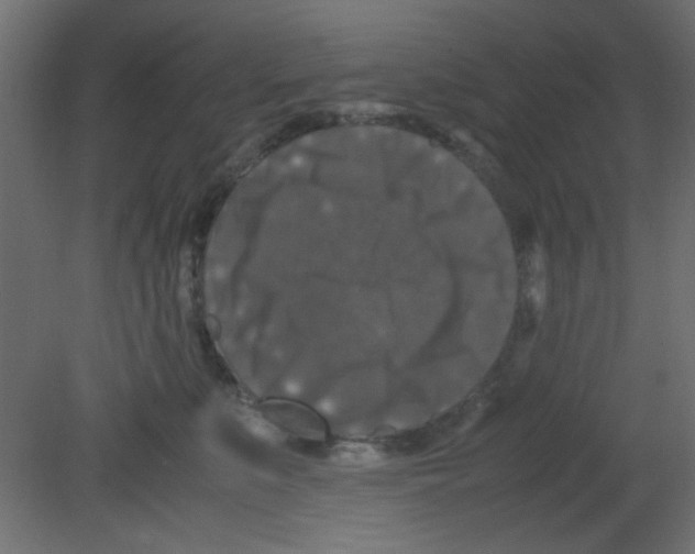 X0000080730519200701121914