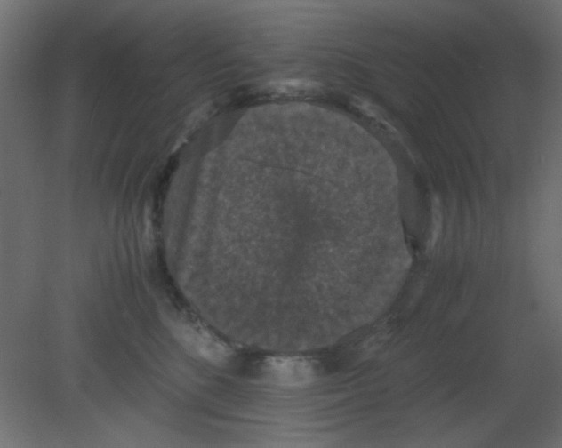 X0000080730520200701121914