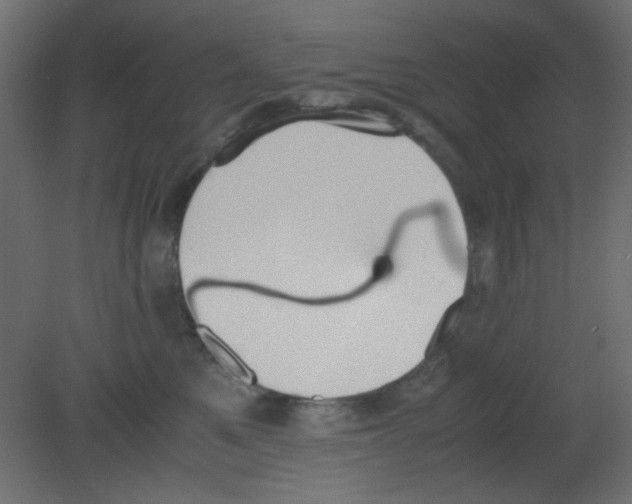 X0000080730521200701121914