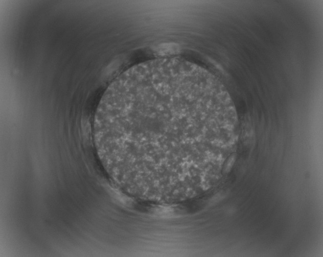 X0000080730523200701121914