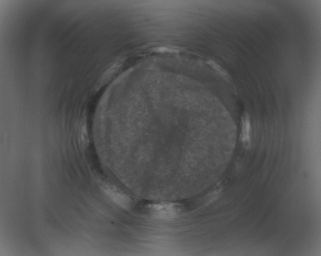 X0000080730524200701121914