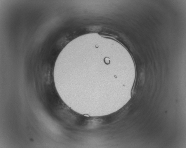 X0000080730525200701121914