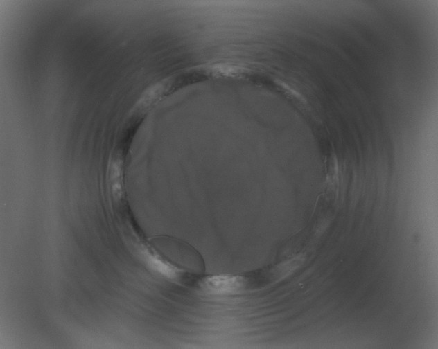 X0000080730526200701121914