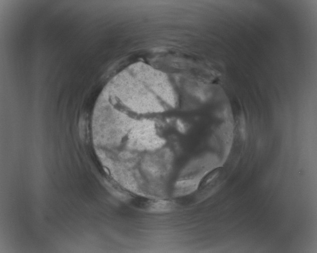 X0000080730527200701121914