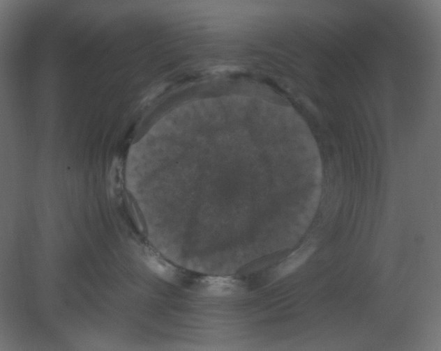 X0000080730528200701121914