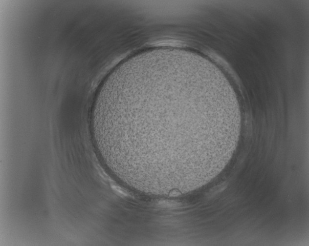 X0000080730529200701121913