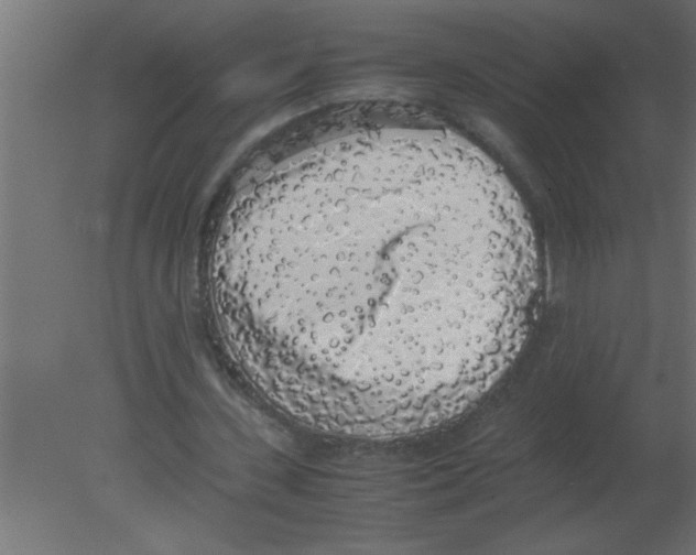 X0000080730531200701121913