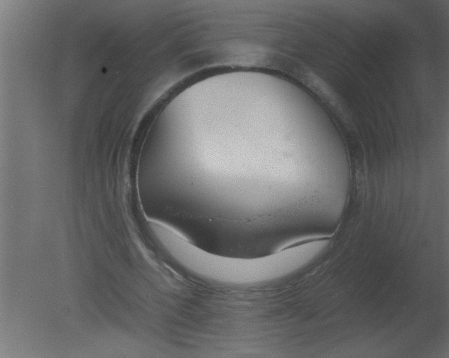 X0000080730532200701121913