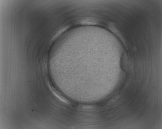 X0000080730533200701121913