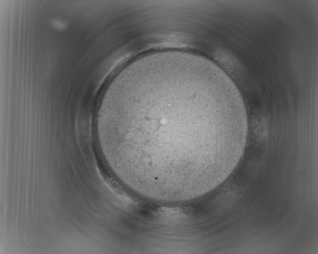 X0000080730534200701121913